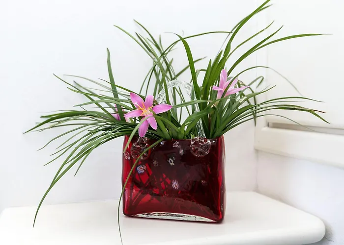 Liza 4 * 이솔라 알바렐라